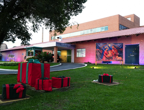 Colaboradores do Hospital e Maternidade Luísa de Marillac se unem para decorar a área externa da unidade para o Natal